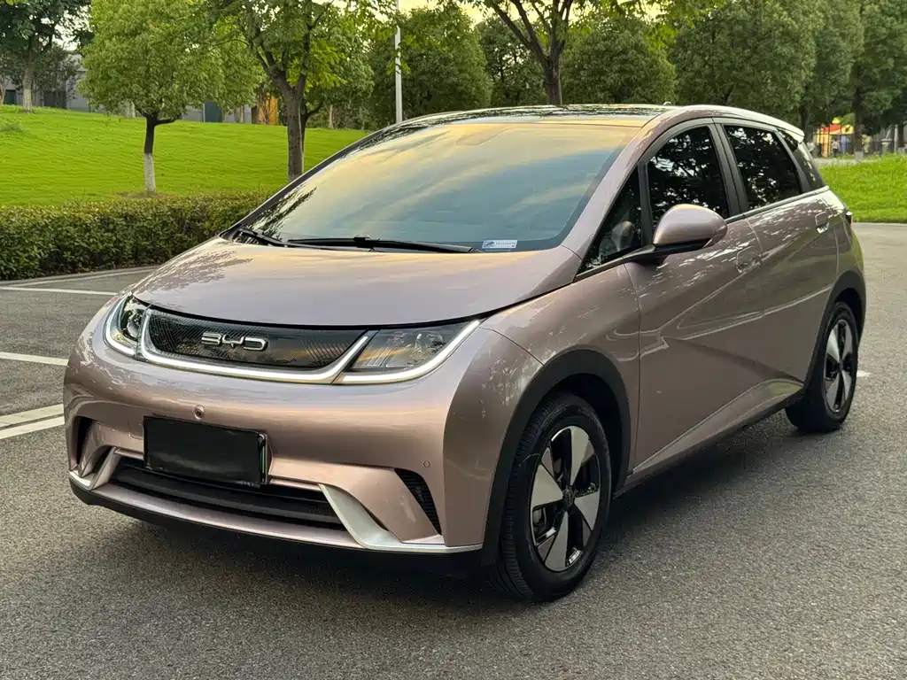BYD Dolphin 2024