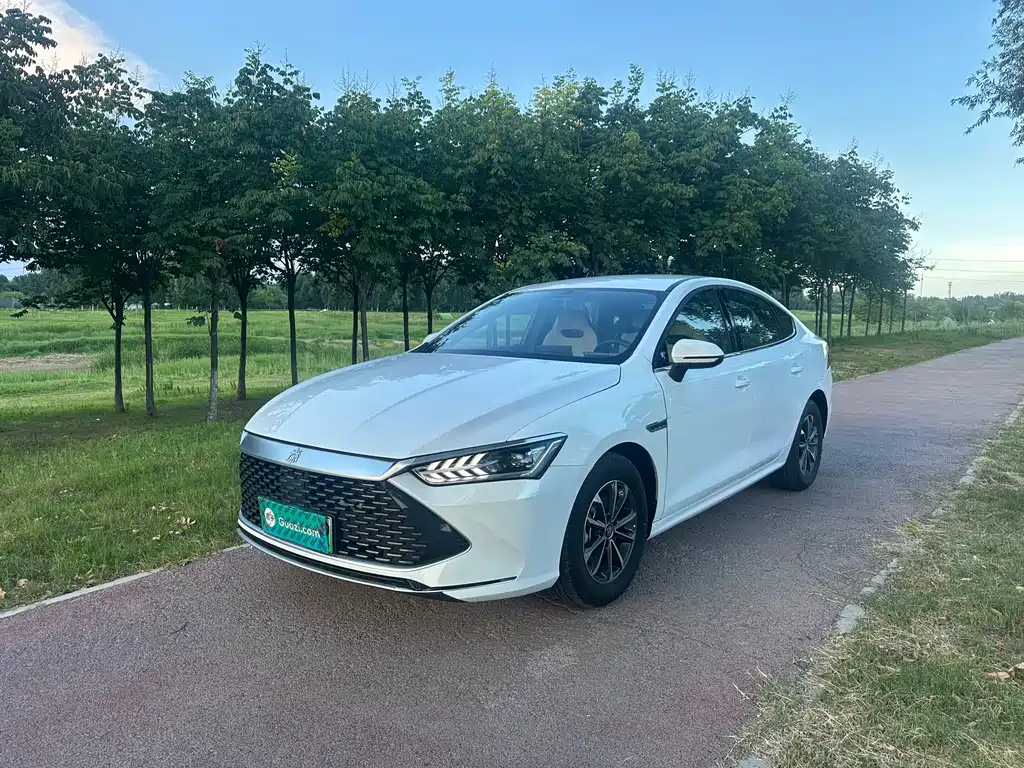 BYD Qin PLUS 2024