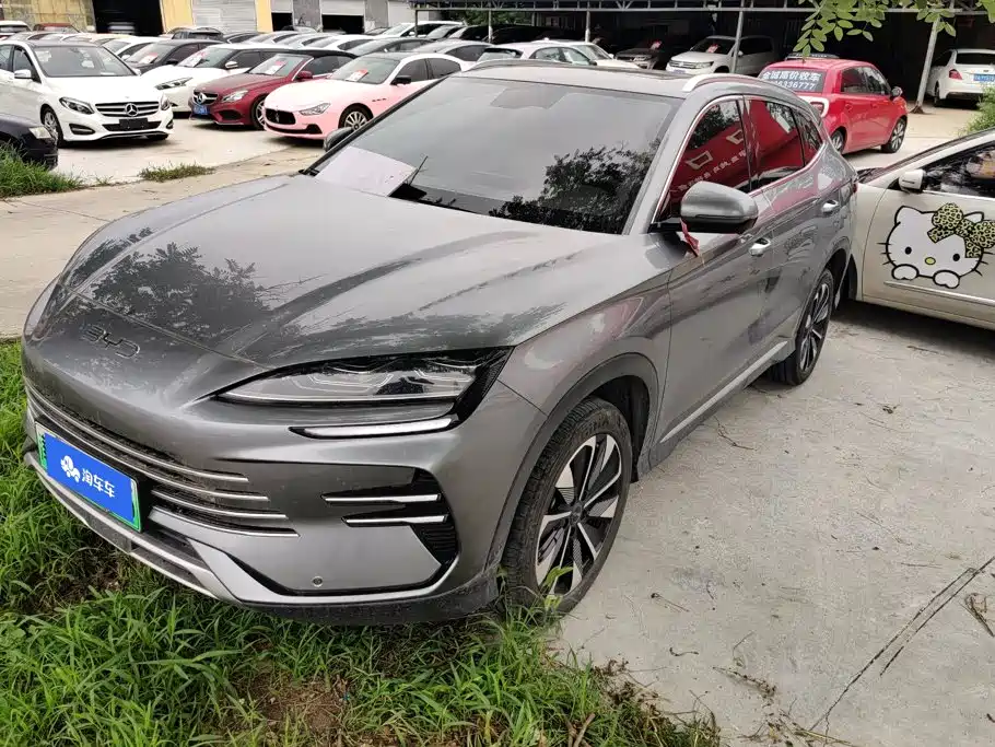 BYD PLUS New Energy 2025