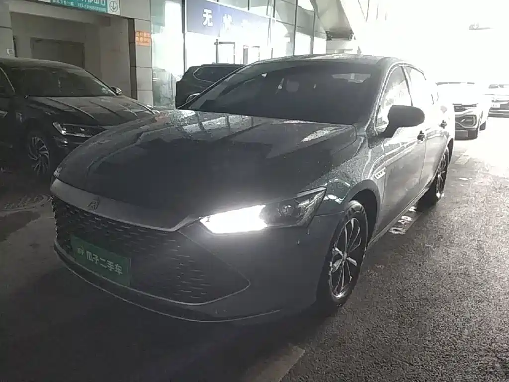 BYD Qin PLUS 2024
