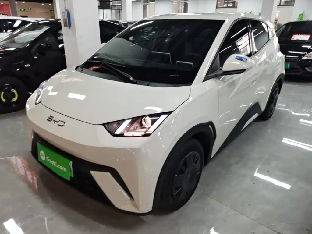 BYD Seagull 2025