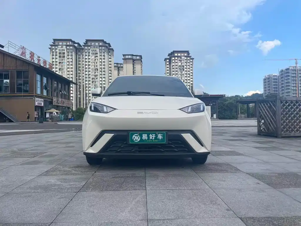 BYD Seagull 2024