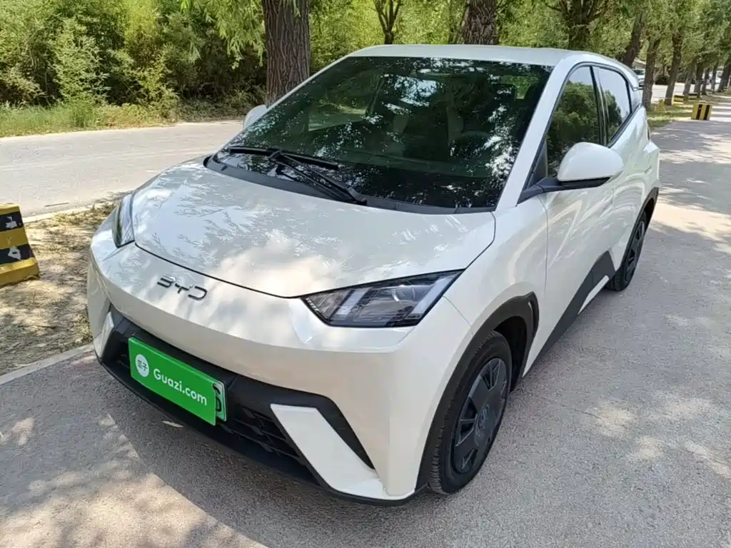 BYD Seagull 2025