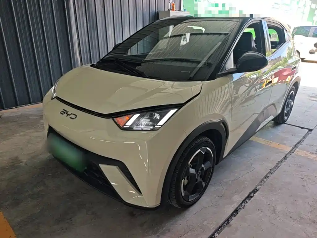 BYD Seagull 2024
