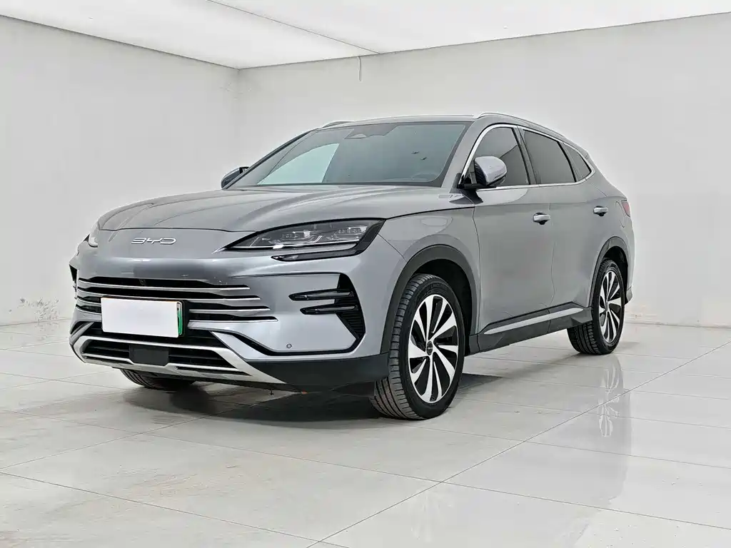 BYD PLUS New Energy 2024