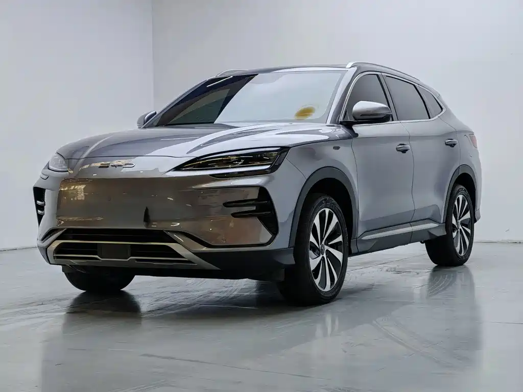 BYD PLUS New Energy 2024