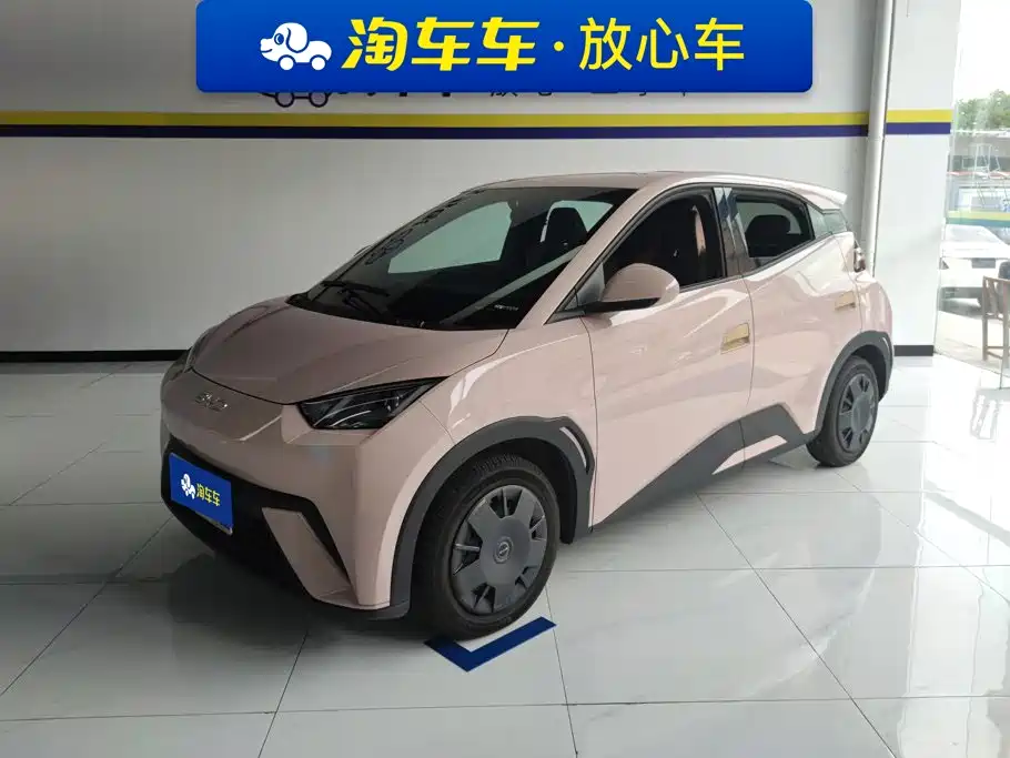 BYD Seagull 2024