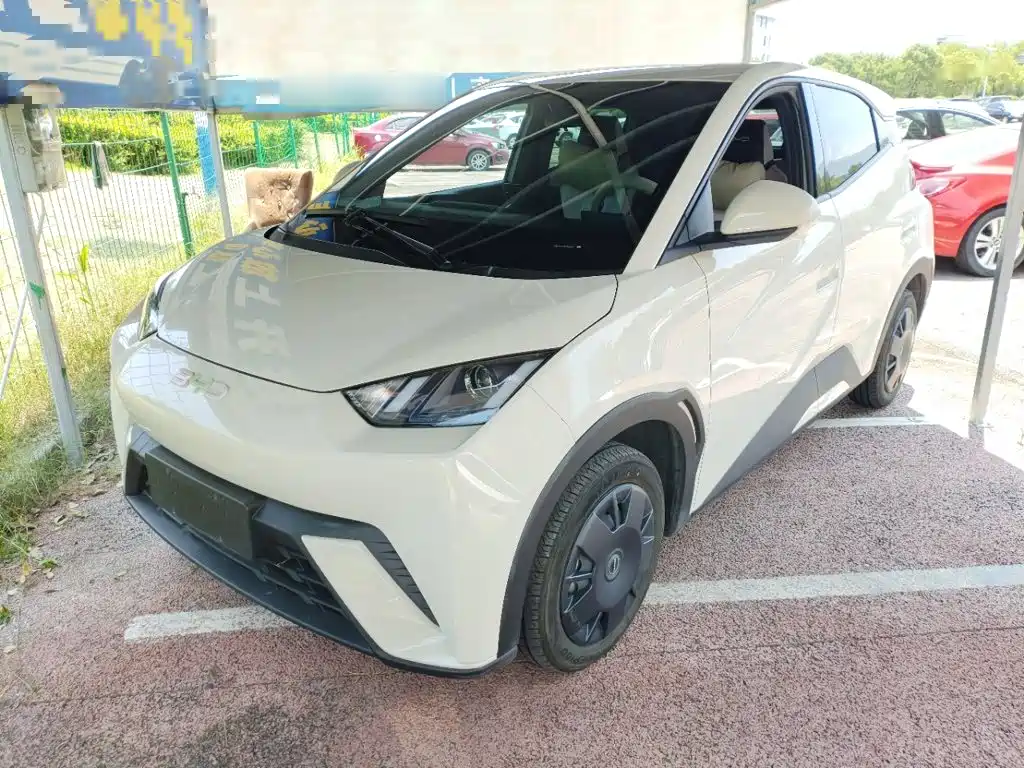BYD Seagull 2024