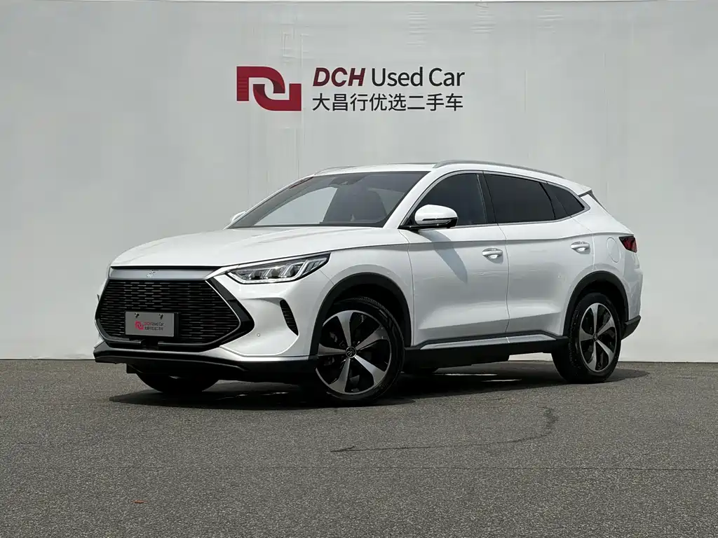 BYD PLUS New Energy 2021