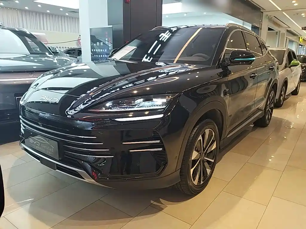BYD PLUS New Energy 2025