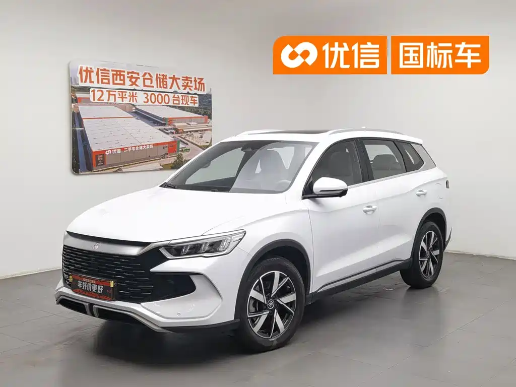 BYD Pro New Energy 2024