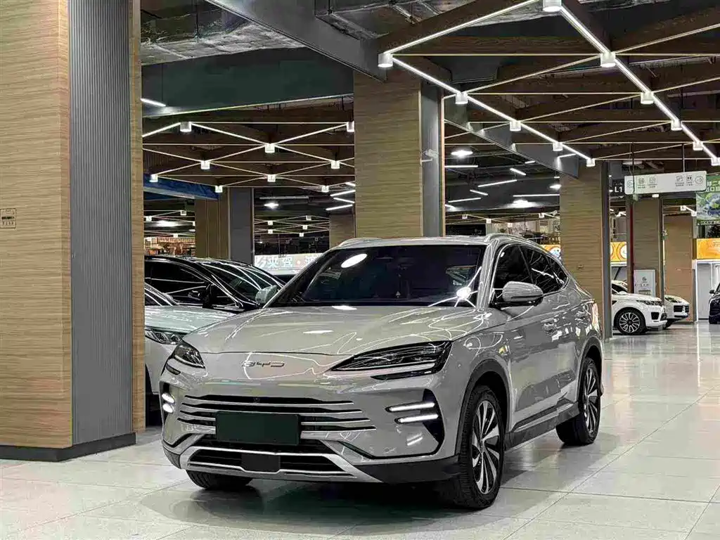 BYD PLUS New Energy 2024
