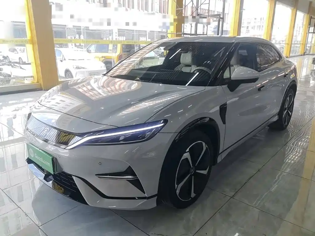 BYD L EV 2024