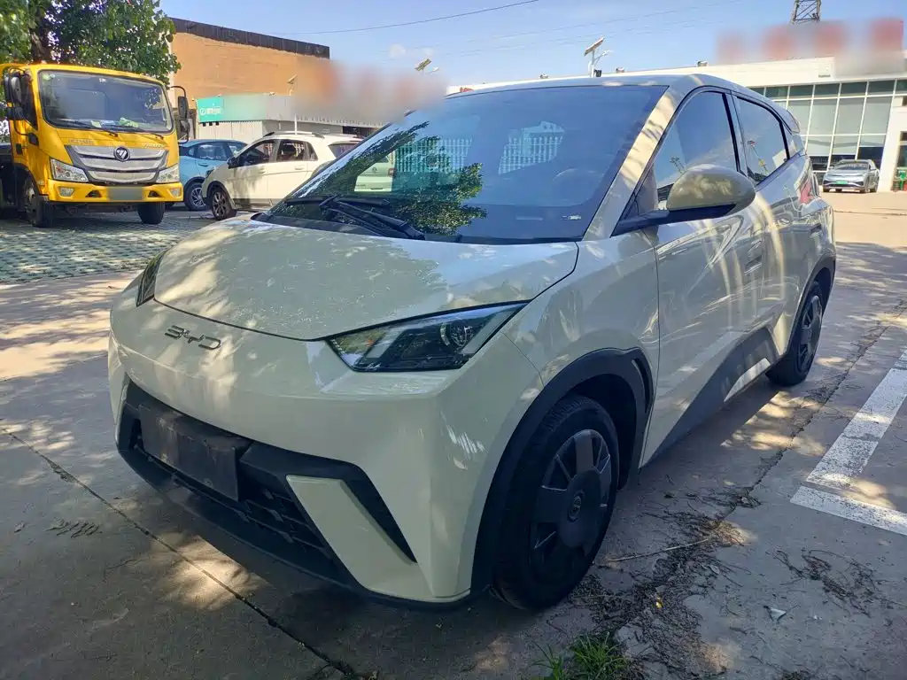 BYD Seagull 2024