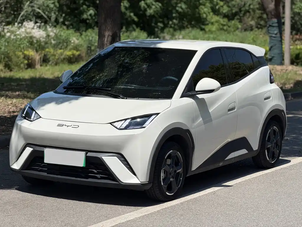 BYD Seagull 2024