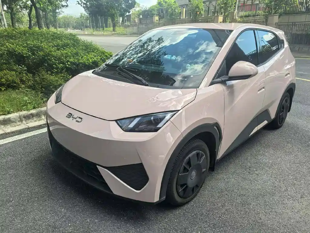 BYD Seagull 2025
