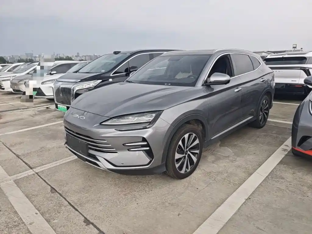 BYD PLUS New Energy 2023