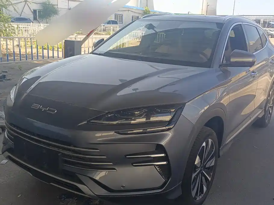 BYD PLUS New Energy 2024