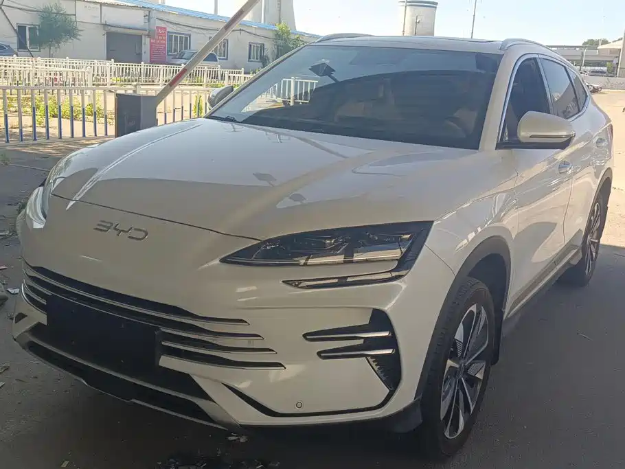 BYD PLUS New Energy 2025