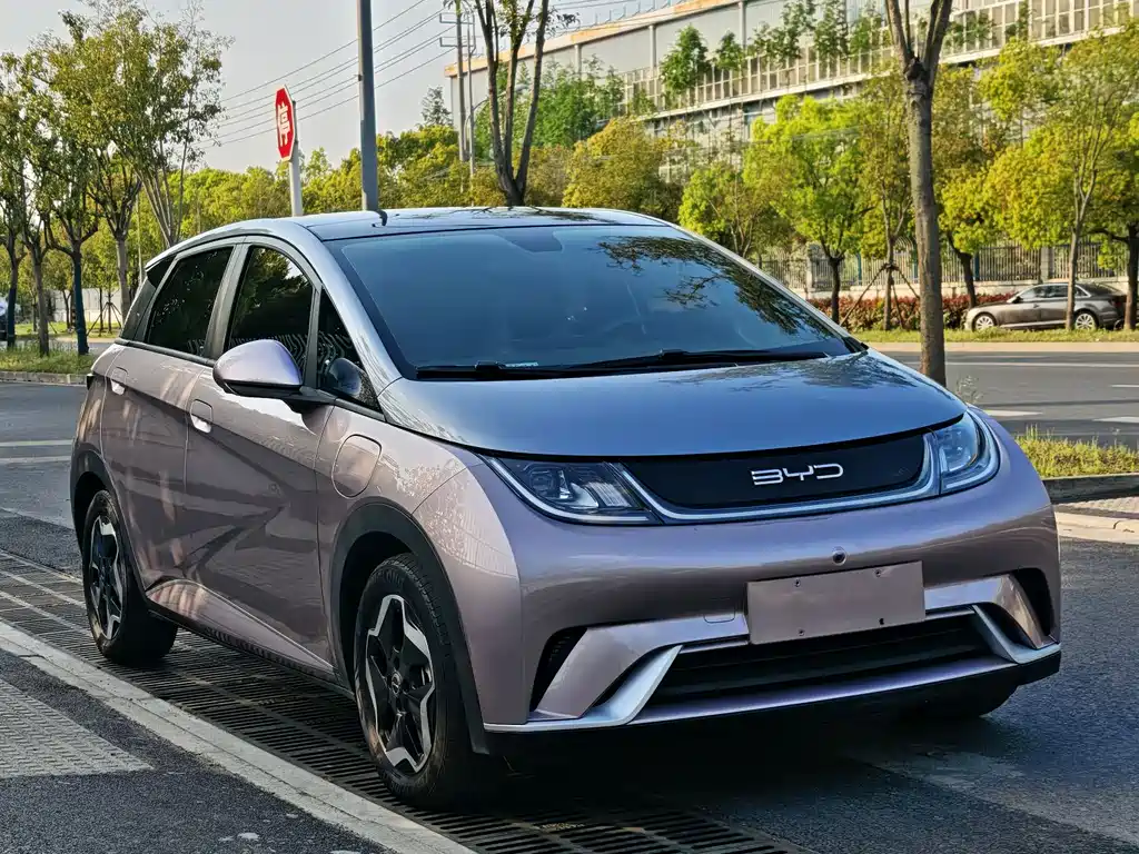 BYD Dolphin 2021