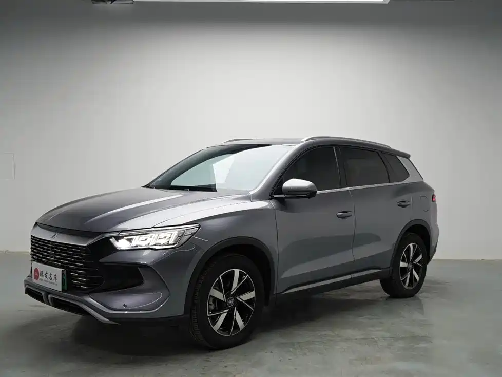 BYD Pro New Energy 2024