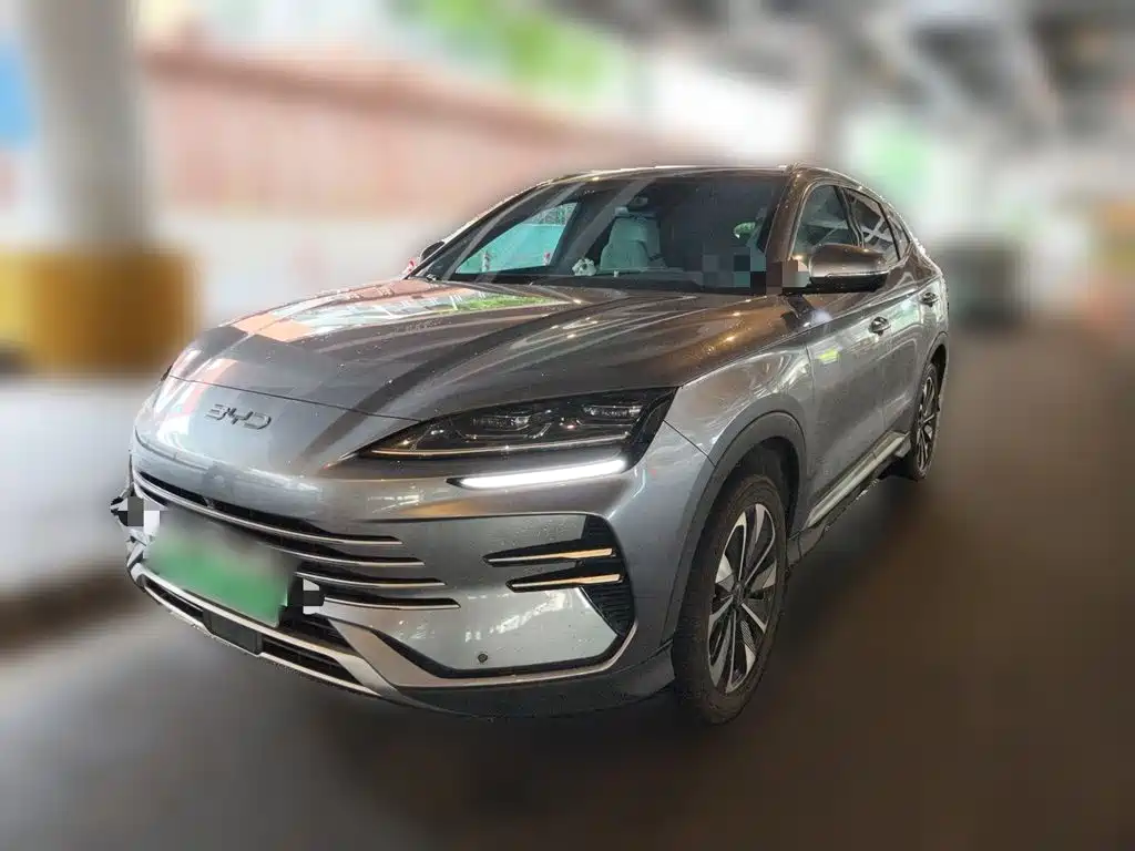 BYD PLUS New Energy 2024