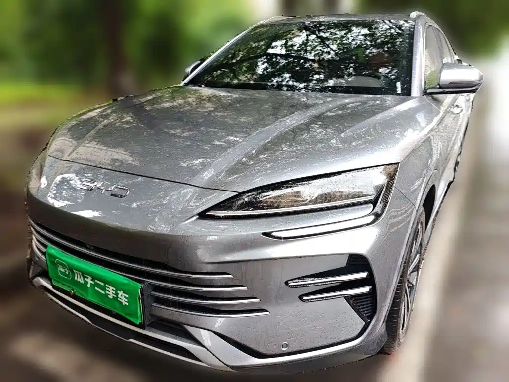 BYD PLUS New Energy 2025