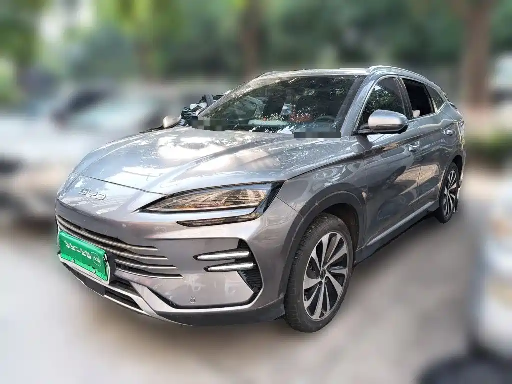 BYD PLUS New Energy 2024