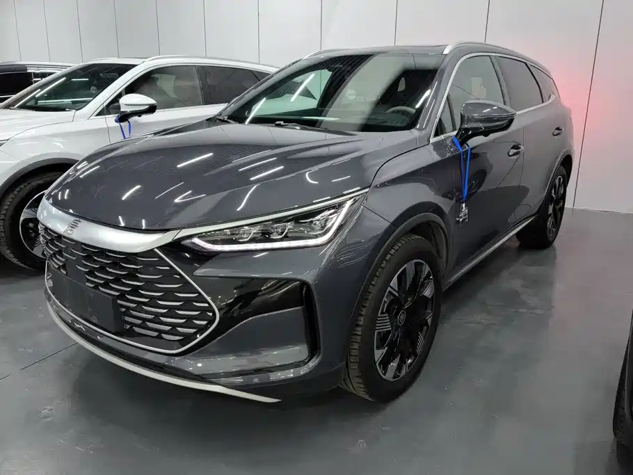 BYD Tang New Energy 2024