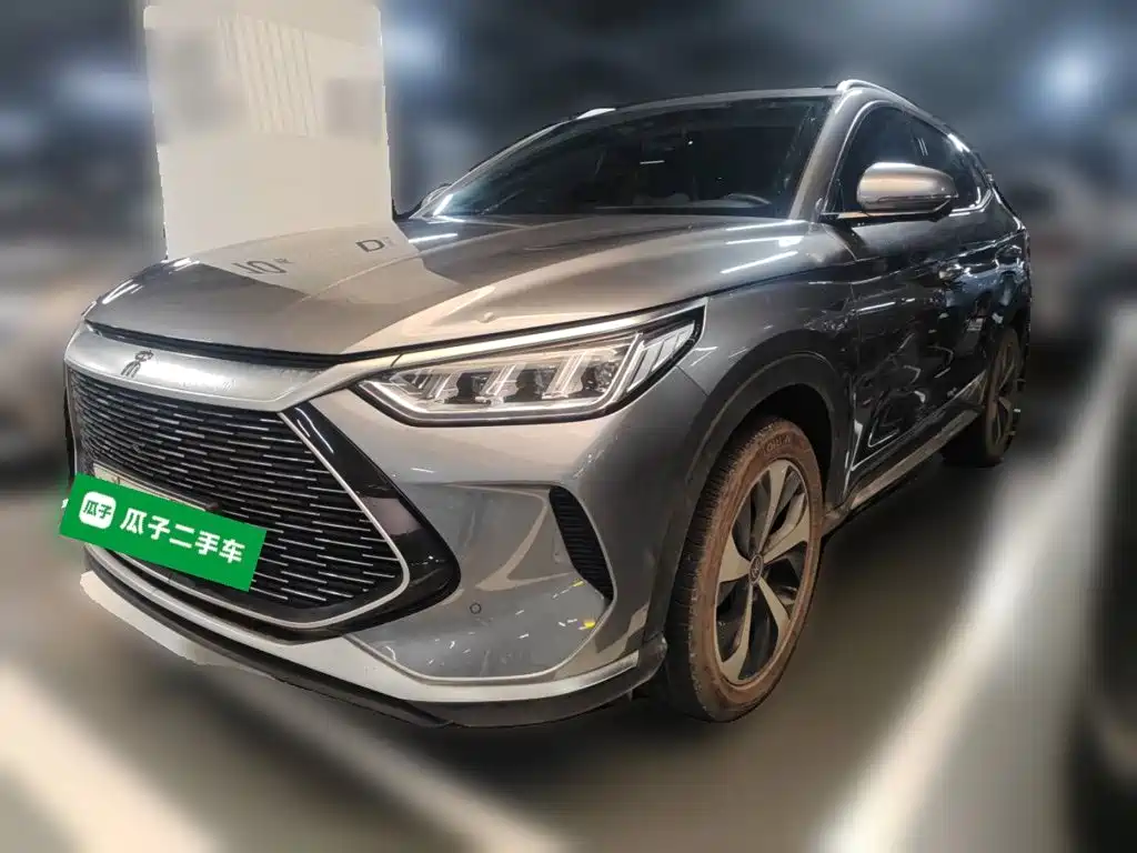 BYD PLUS New Energy 2022