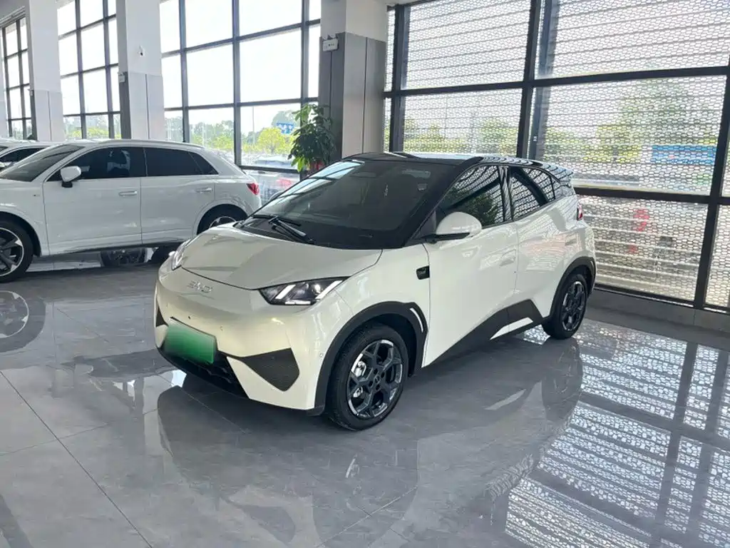 BYD Seagull 2026