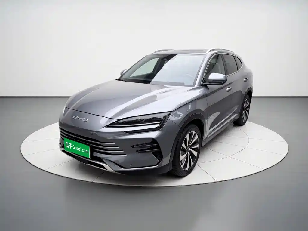 BYD PLUS New Energy 2024