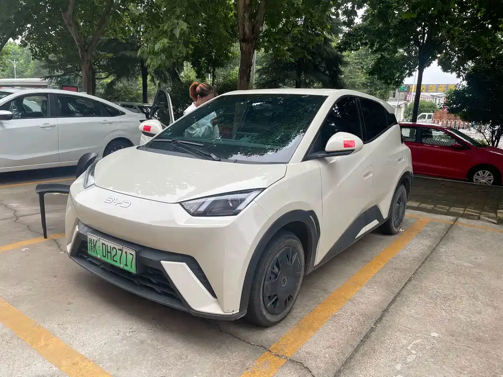 BYD Seagull 2024