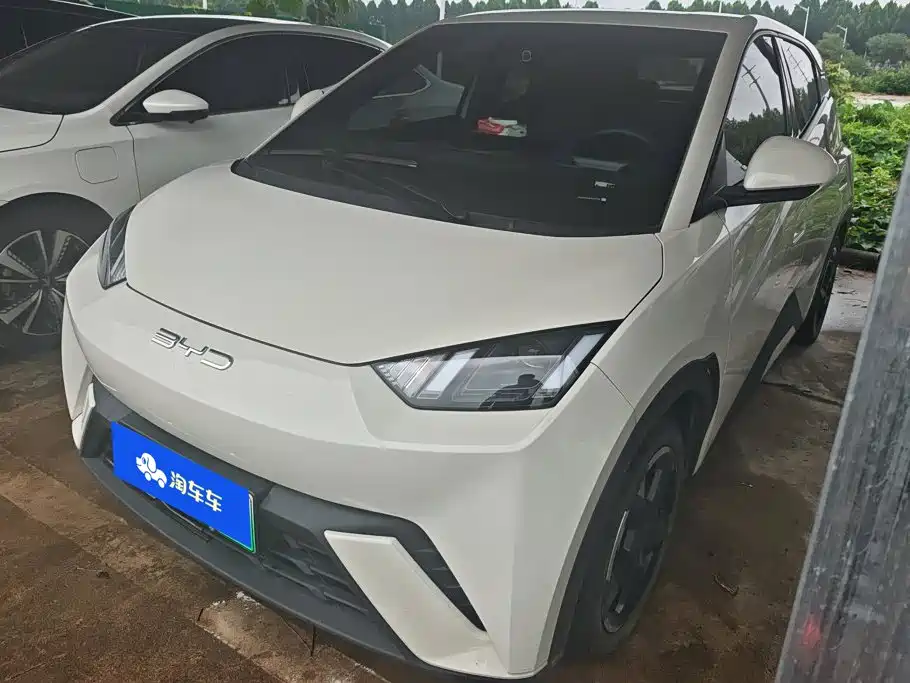 BYD Seagull 2024