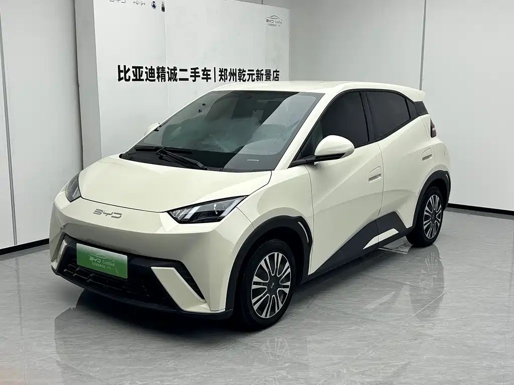 BYD Seagull 2024
