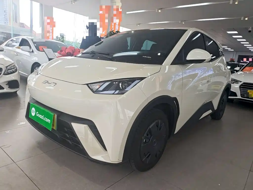 BYD Seagull 2024