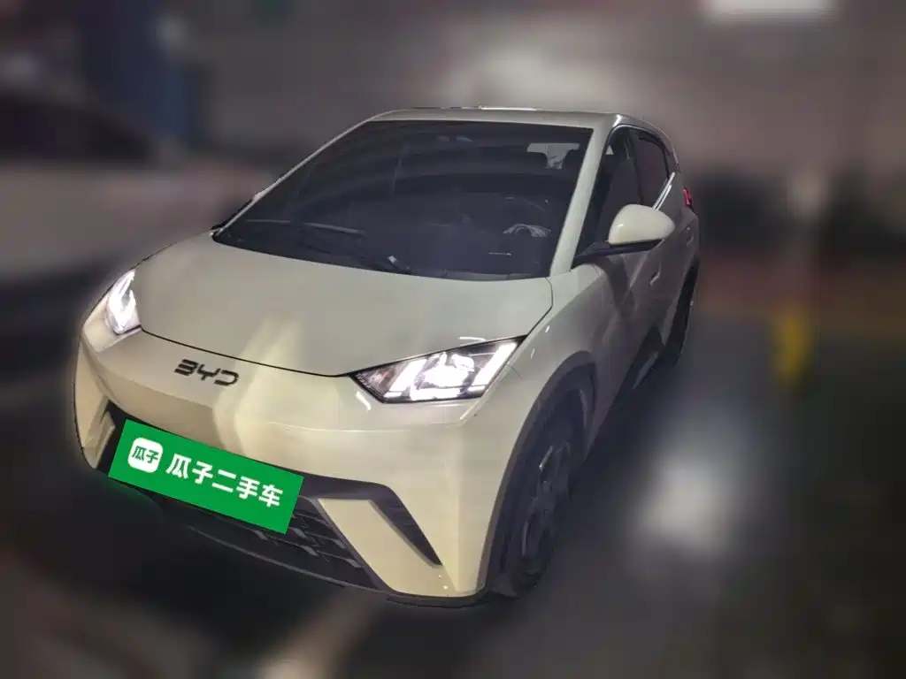 BYD Seagull 2024