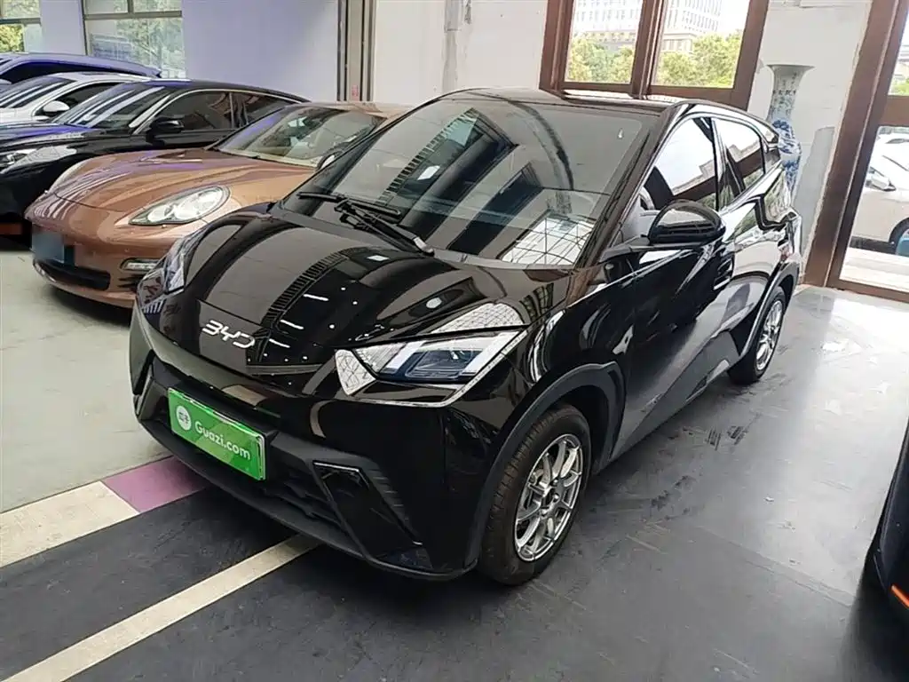 BYD Seagull 2024