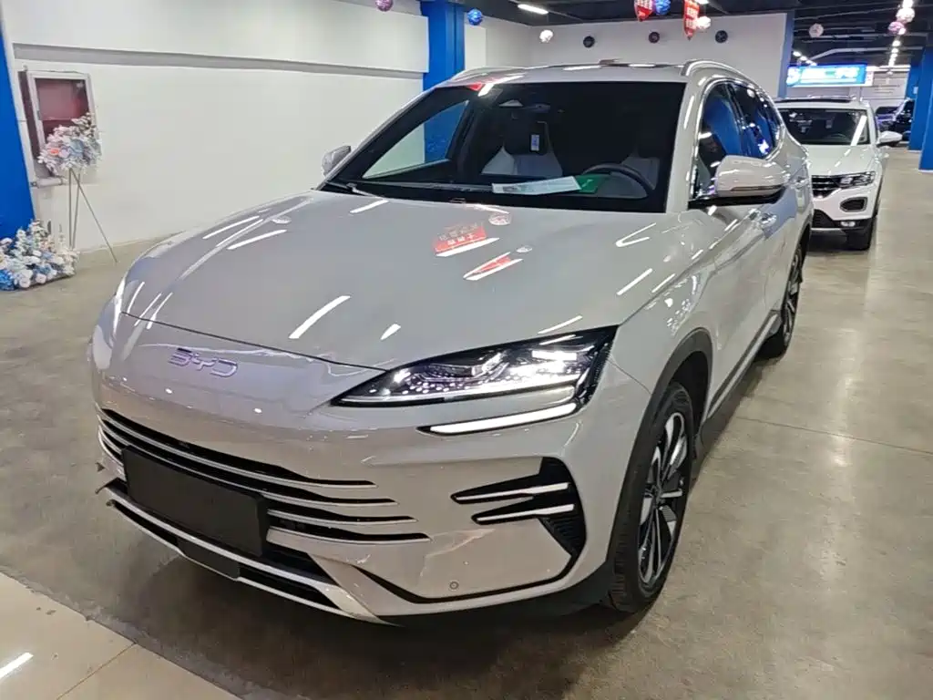 BYD PLUS New Energy 2024