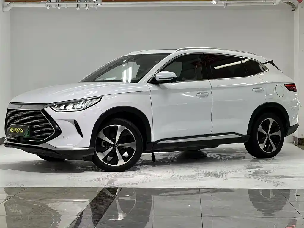 BYD PLUS New Energy 2021