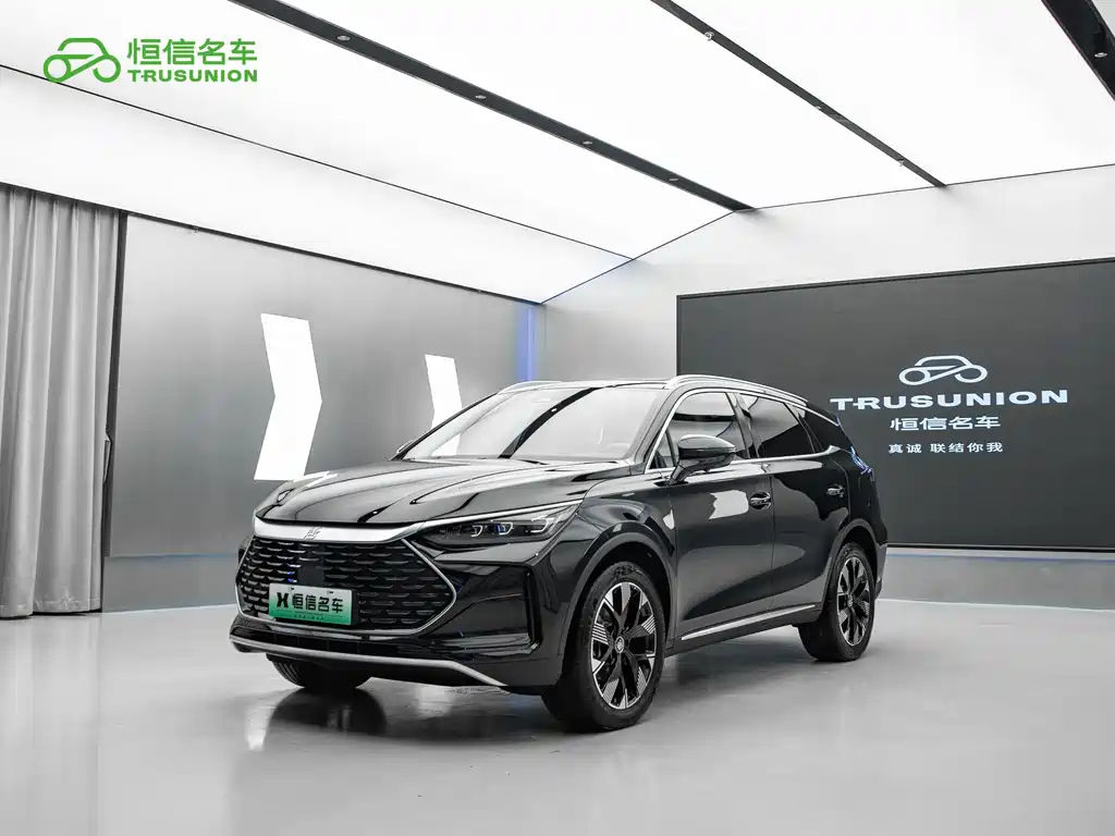 BYD Tang New Energy 2024