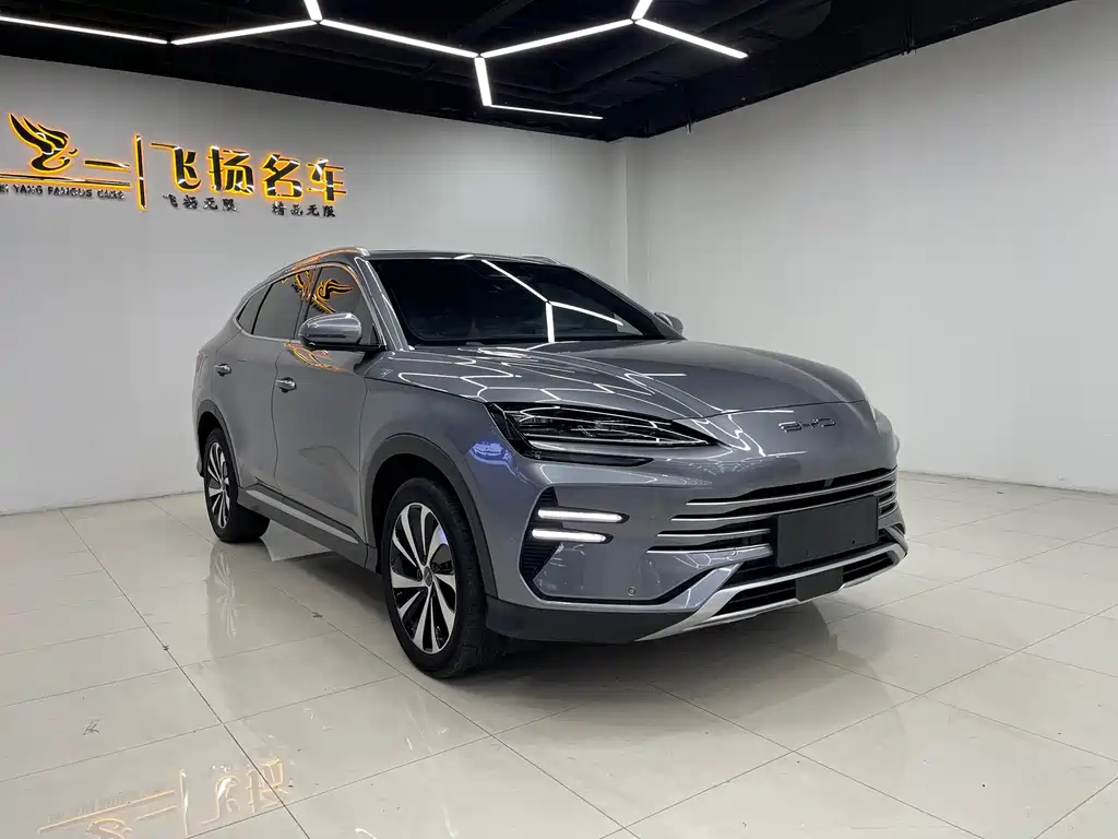BYD PLUS New Energy 2024