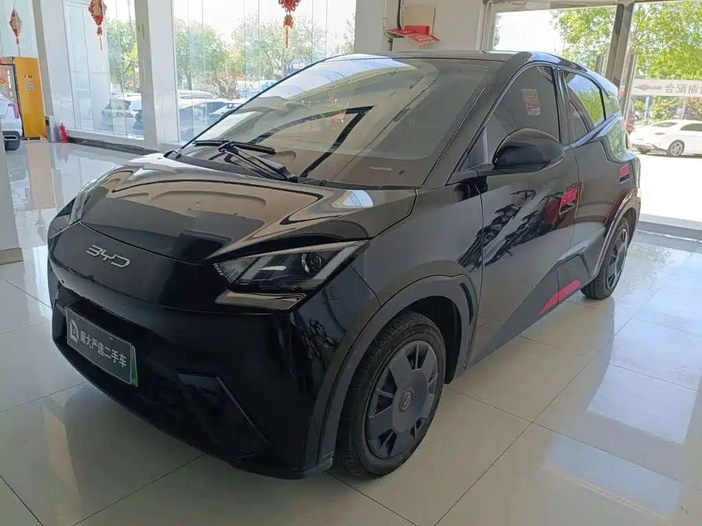 BYD Seagull 2024