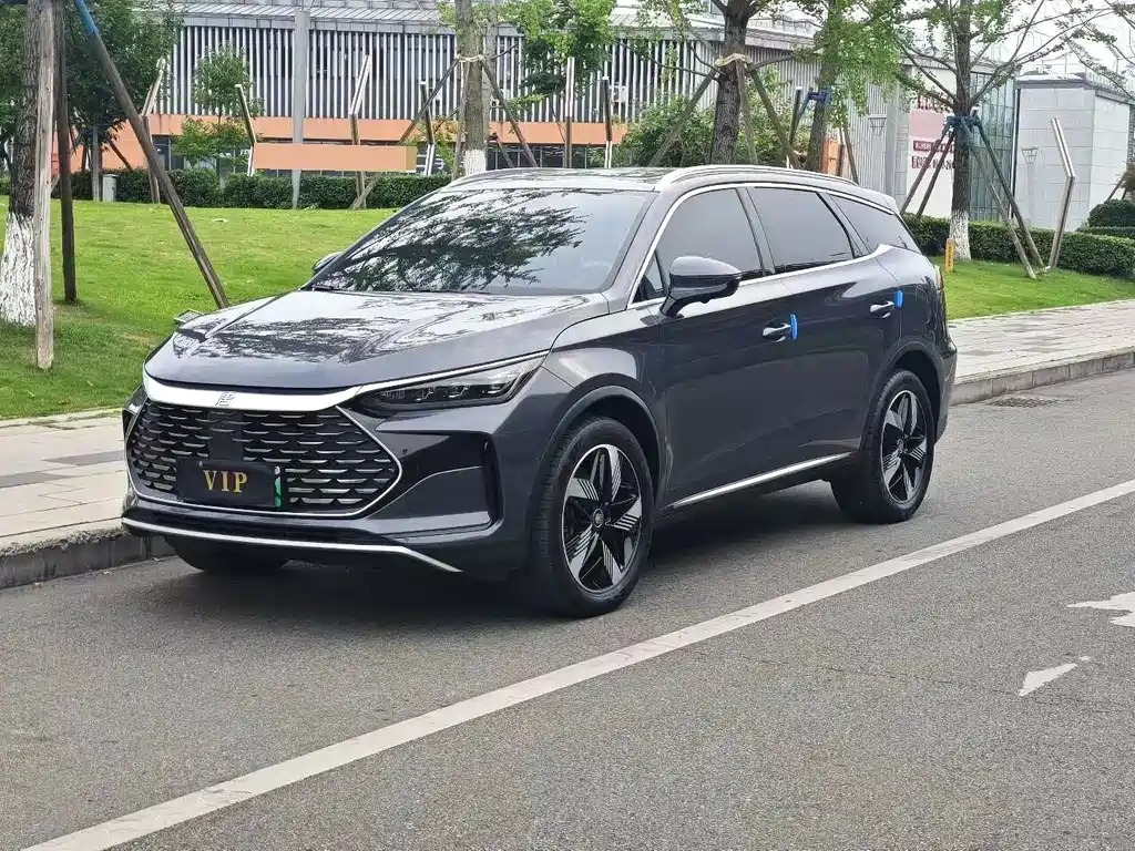 BYD Tang New Energy 2024