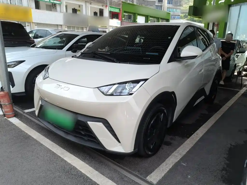 BYD Seagull 2024