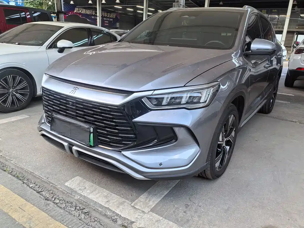 BYD Pro New Energy 2024