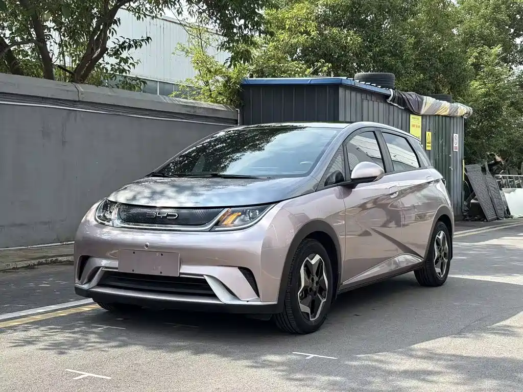 BYD Dolphin 2022