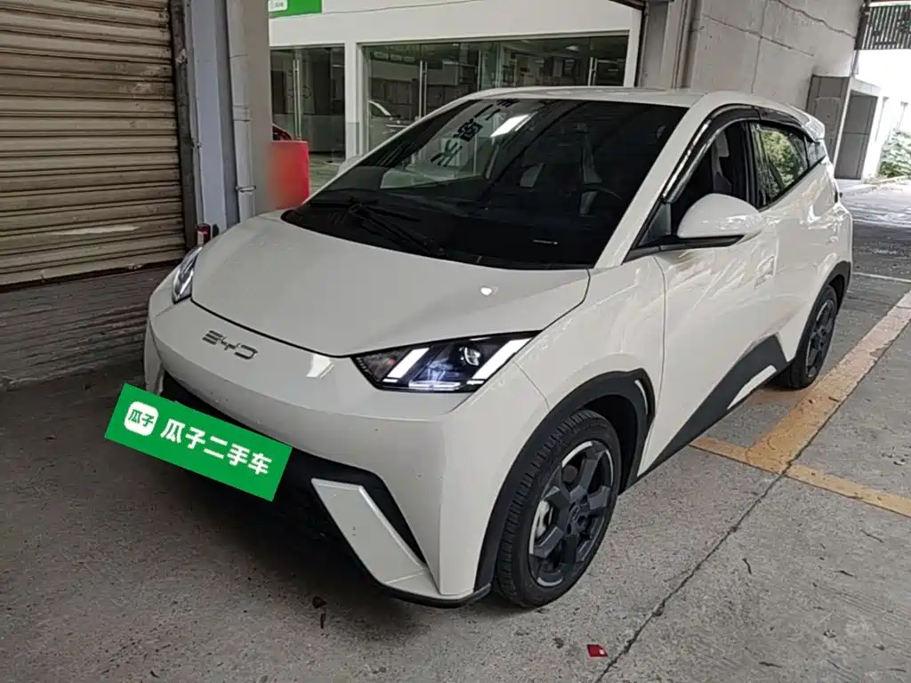 BYD Seagull 2024