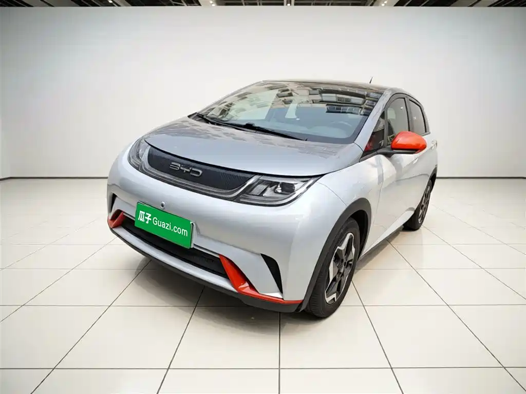 BYD Dolphin 2022