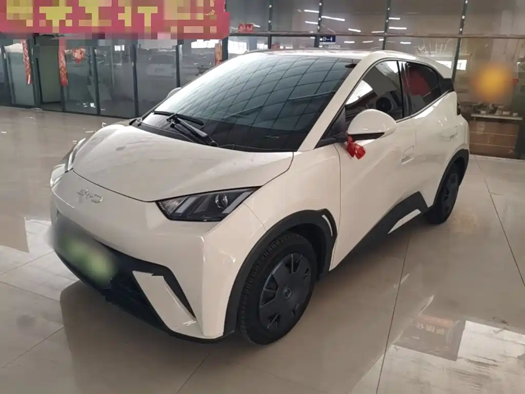 BYD Seagull 2024
